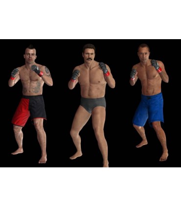 UFC UNDISPUTED 2010 PS3