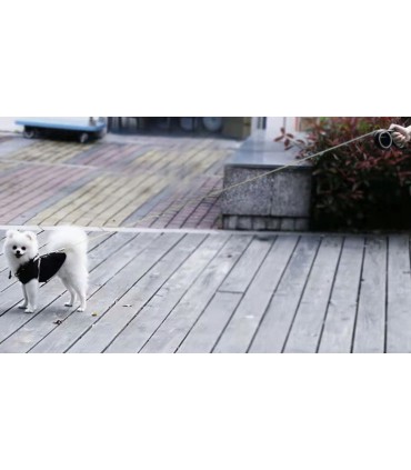 Smycz dla Psa do 15kg Taśma 5m z blokadą