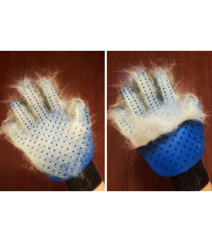 Rękawica do czesania sierści zwierząt Psa Kota