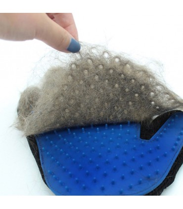 Rękawica do czesania sierści zwierząt Psa Kota