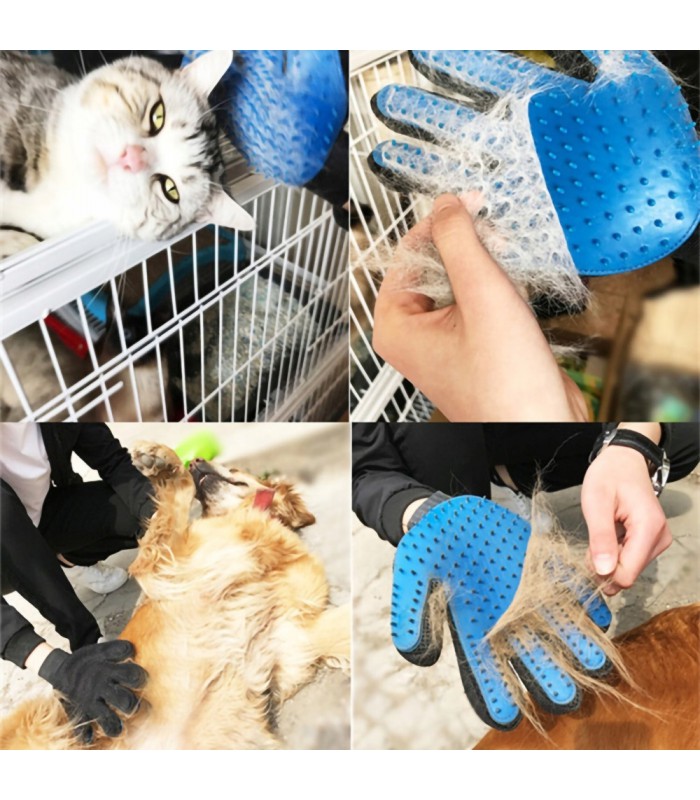 Rękawica do czesania sierści zwierząt Psa Kota