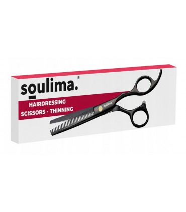 Nożyczki fryzjerskie Profesjonalne Degażówki